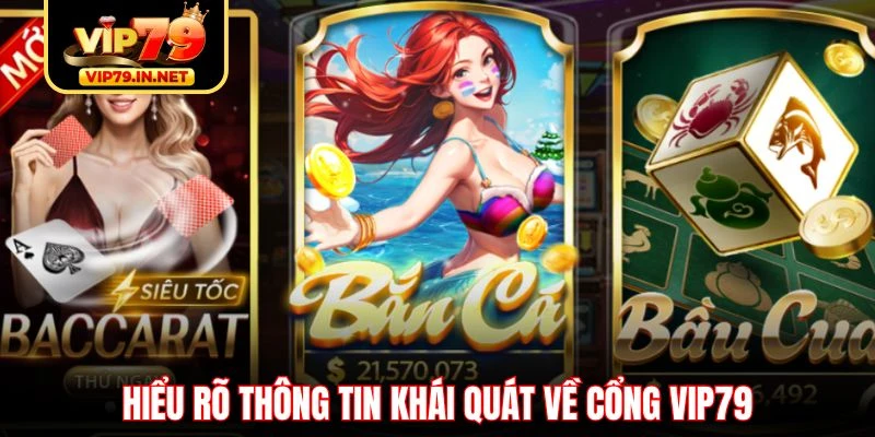 Hiểu rõ thông tin khái quát về cổng VIP79
