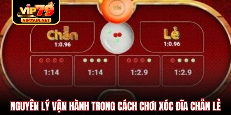 Nguyên lý vận hành trong cách chơi xóc đĩa chẵn lẻ